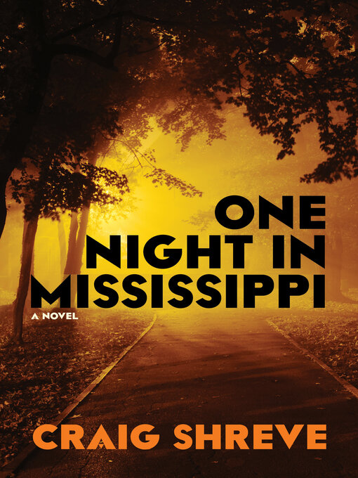 Cover image for One Night in Mississippi